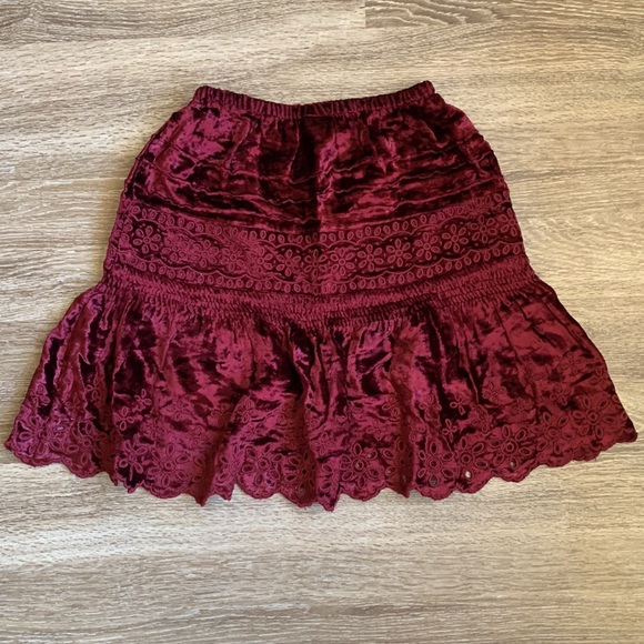 Anthropologie Cherie Eyelet Velvet Mini Skirt - Picture 8 of 8